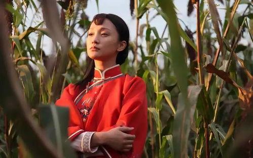 在线观看 高粱红了,红色记忆与革命情怀的深情演绎  第1张