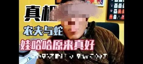 侯哥爆料第6集视频,揭秘背后惊人真相 第3张 侯哥爆料第6集视频,揭秘背后惊人真相 第3张